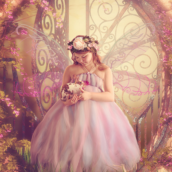 © Copyright - Dana Eileen Photography